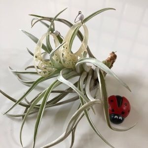 DROP EARRINGS WITH FISH HOOK